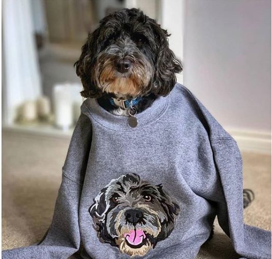 +12 Funny Pet-Themed Embroidery Hoodies and T-shirts: DIY Gift Ideas for Animal Lovers